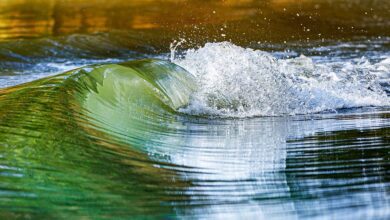 The Tidal Shift: How Ocean Energy Is Making Waves in Renewable Power