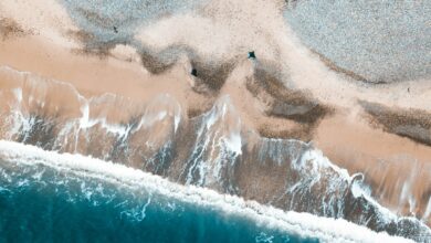 aerial photography of coast