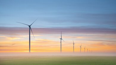 Renewable Revolution: The Rise of Solar, Wind, and Hydro Power