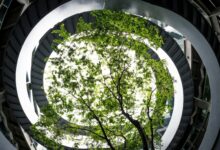 Cutting-Edge Technologies That Are Powering a Greener World
