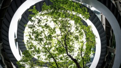 Cutting-Edge Technologies That Are Powering a Greener World