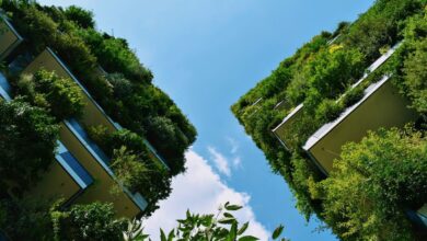 lSustainable Architecture